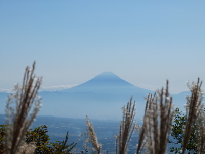 fuji.JPG